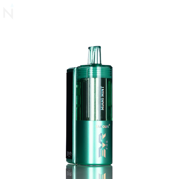 EVRFOG 100K Refillable Disposable Kit