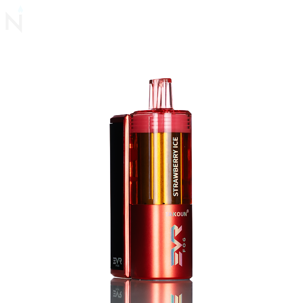EVRFOG 100K Refillable Disposable Kit