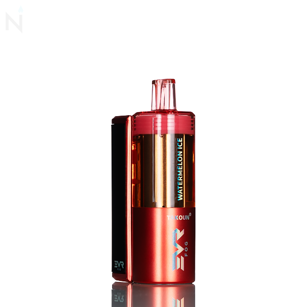 EVRFOG 100K Refillable Disposable Kit