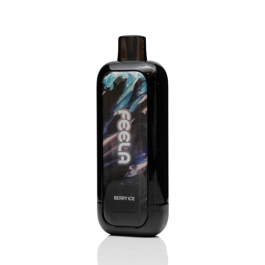 FEELA NIC 40K Disposable Vape