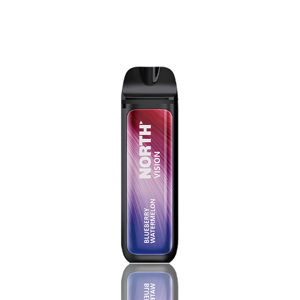North Vision 15000 Puffs Disposable - 15mL