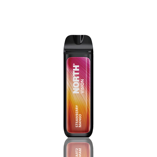 North Vision 15000 Puffs Disposable - 15mL