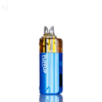 Puffup 25K 25000 Puffs Disposable Vape - 15mL
