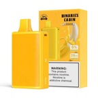 Horizon Tech - Binaries Cabin 10K Disposable Device