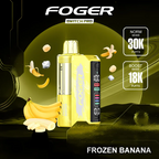 Foger - Switch Pro 30k Disposable KIT