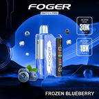 Foger - Switch Pro 30k Disposable KIT