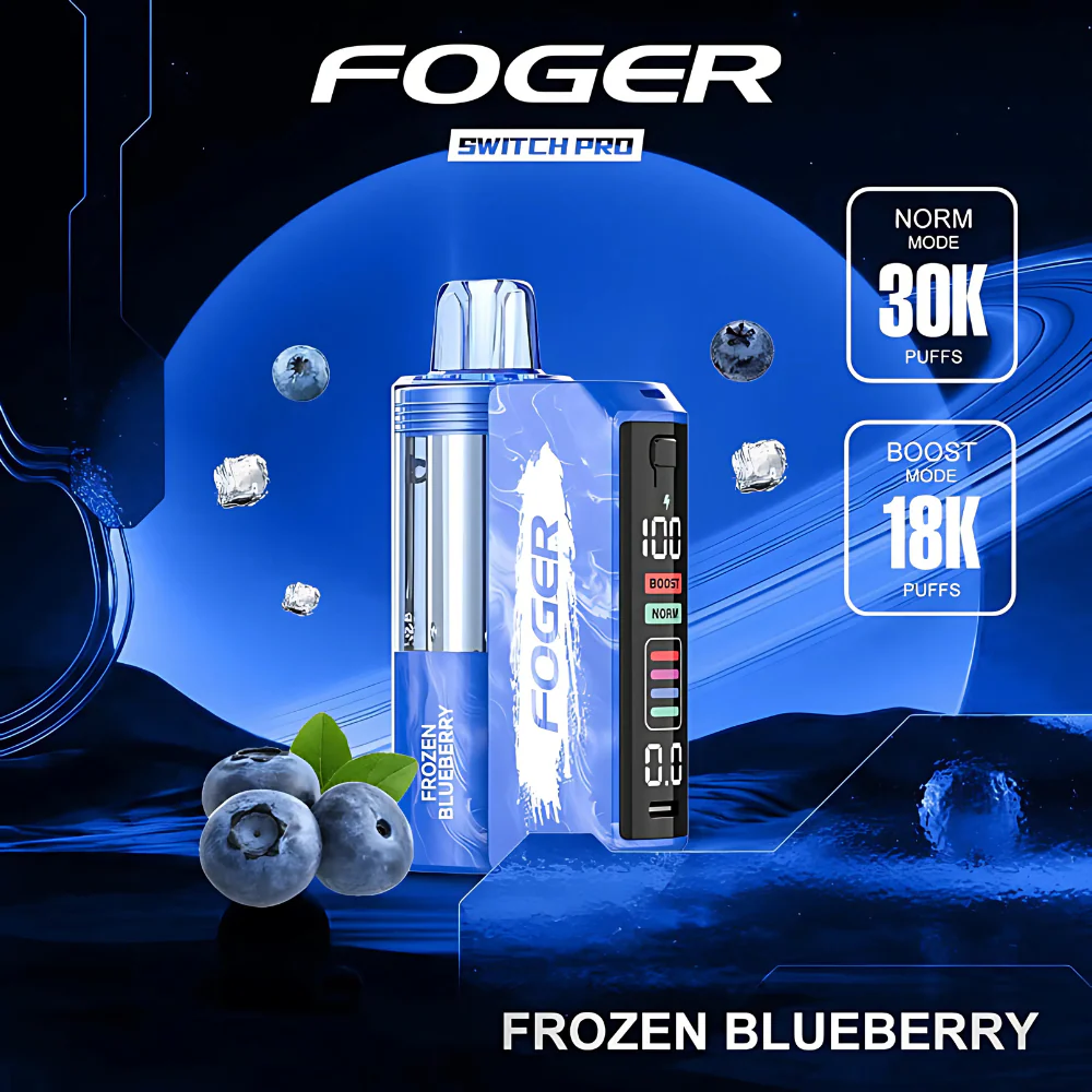 Foger - Switch Pro 30k Disposable KIT