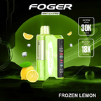 Foger - Switch Pro 30k Disposable KIT