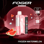 Foger - Switch Pro 30k Disposable KIT