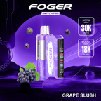 Foger - Switch Pro 30k Disposable KIT