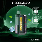 Foger - Switch Pro 30k Disposable KIT